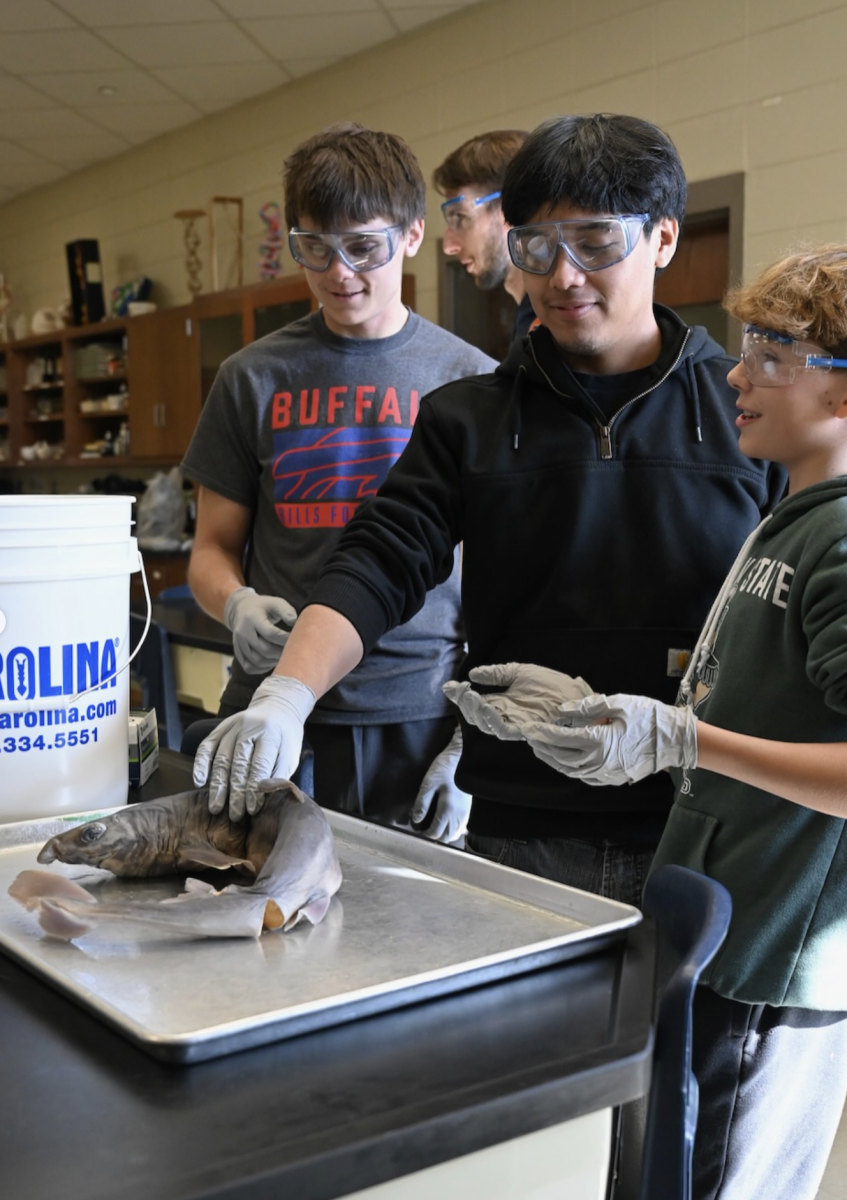 Students in Josh Amsler's marine science dissect a shark. 